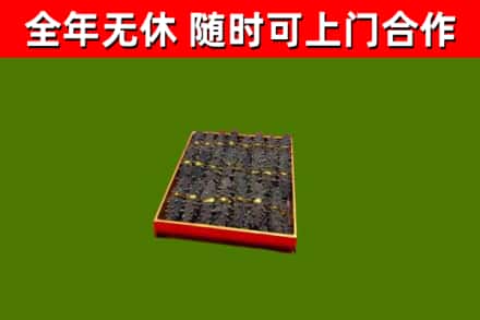 济阳回收海参